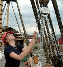 不銹鋼手拉葫蘆的使用案例